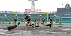 プロ野球クライマックスシリーズの試合前、雨でぬかるんだグラウンドを整備する阪神園芸のスタッフ＝２０１７年１０月１７日、阪神甲子園球場