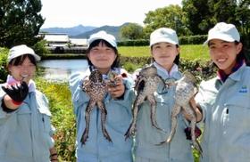 ウシガエルの駆除と堆肥化に奮闘する篠山東雲高校の（左から）林彩加さん、山上琴音さん、大山愛恵さん、高仙坊愛峰さん＝丹波篠山市北新町