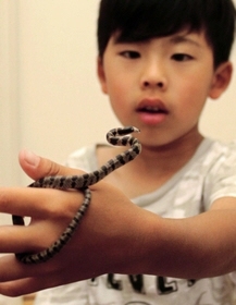 シロマダラと、見つけた村上英暉君＝明石市大久保町大久保町