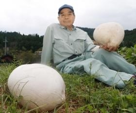 藤尾伸二さんが発見したオニフスベ＝朝来市山東町早田