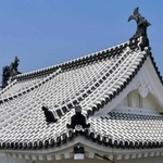 化粧直しを終えた大天守に載せられた鯱瓦＝２０１４年４月１７日、姫路城