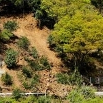 土砂崩れが起きた県道＝２５日午後、養父市大屋町糸原