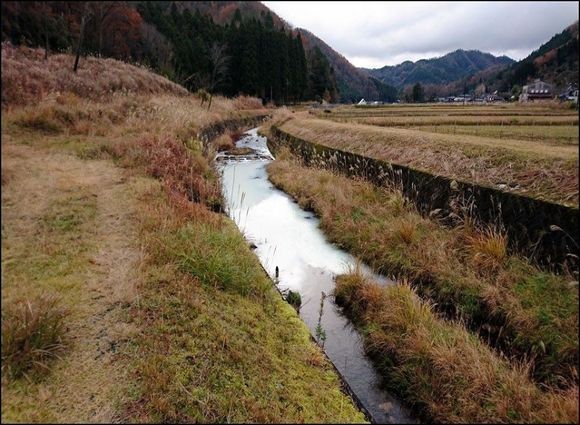 横転したトレーラーから生乳が流出し、白く染まっていく藤坂川＝６日午前、丹波篠山市藤坂（丹波篠山市提供）