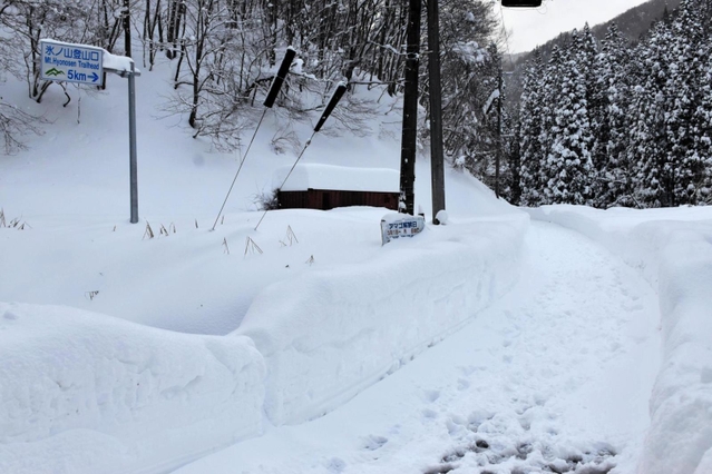 国道２９号から通じる氷ノ山の登山口。高さ１メートル以上の雪が積もり、地面が見えなかった＝宍粟市波賀町戸倉