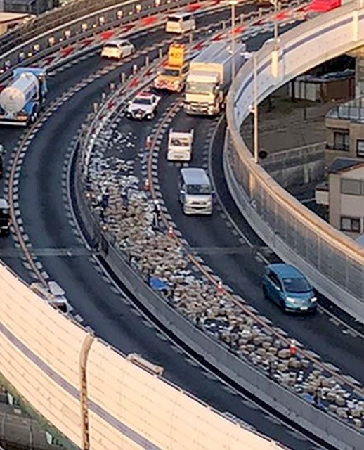 阪神高速神戸線東行き車線で、道路上に落下したウェットティッシュの箱＝２６日午前、神戸市須磨区（住民提供）