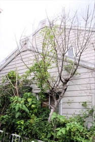 白骨化した遺体が見つかった民家＝２０日午前、西宮市清瀬台