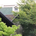 ミイラ化した遺体が見つかった民家とその周辺＝２０日午後０時４０分、西宮市清瀬台