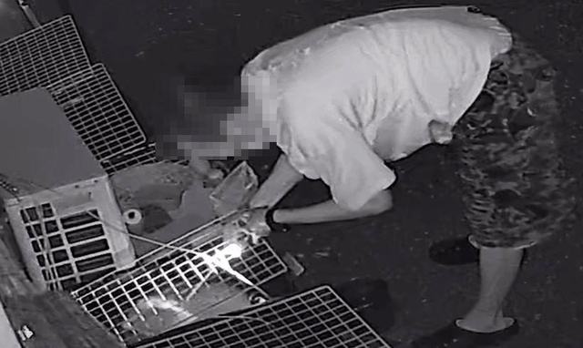 手元をライトで照らしながら、金魚網を水槽に入れる男（画像の一部を加工しています）