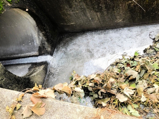 生クリームが流れ出た側溝＝丹波篠山市高屋（市提供）