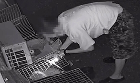 手元をライトで照らしながら、金魚網を水槽に入れる男（画像の一部を加工しています）
