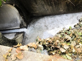 生クリームが流れ出た側溝＝丹波篠山市高屋（市提供）