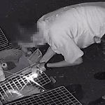 手元をライトで照らしながら、金魚網を水槽に入れる男（画像の一部を加工しています）
