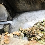生クリームが流れ出た側溝＝丹波篠山市高屋（市提供）