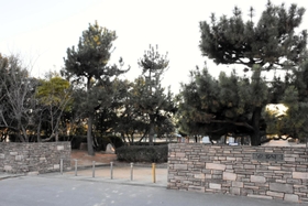 画びょうがばらまかれているのが見つかった望海公園＝播磨町古宮