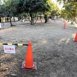 コーンやロープで立ち入りが制限された現場＝播磨町古宮、望海公園