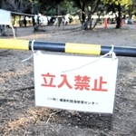 パイロンやロープで立ち入りが制限された現場＝播磨町古宮、望海公園