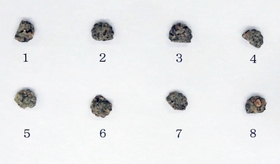 押収された大麻入りのクッキー＝１５日、兵庫県警本部