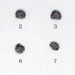 押収された大麻入りのクッキー＝１５日、兵庫県警本部