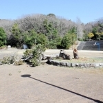 倒れた木＝神戸市垂水区名谷町、高曽公園（神戸市提供）
