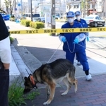 警察犬を連れて現場周辺を調べる兵庫県警の捜査員＝２２日午後、神戸市長田区東尻池町９