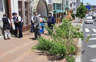 乗用車が街路樹をなぎ倒して店舗に突っ込んだ現場＝９日午後０時９分、西宮市羽衣町（撮影・吉田敦史）