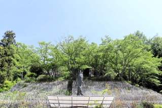 火災があった寺院の敷地内＝三田市尼寺、弥勒寺