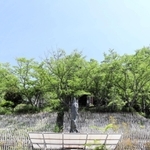 火災があった寺院の敷地内＝三田市尼寺、弥勒寺