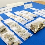 押収された違法薬物＝１９日午後、神戸市中央区の神戸地方合同庁舎