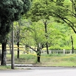 スーツケースが置かれていた現場＝姫路市本町