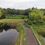 男児の遺体が見つかったとされる現場＝２３日午後、神戸市西区平野町慶明