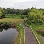 男児の遺体が見つかったとされる現場＝２３日午後、神戸市西区平野町慶明