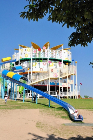 子どもに人気の大型複合遊具「ひまわりタワー」＝小野市浄谷町、ひまわりの丘公園