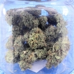 押収した乾燥大麻（兵庫県警提供）