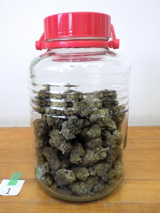 兵庫県警などが押収した大麻（県警提供）