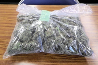 兵庫県警などが押収した大麻（県警提供）