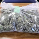兵庫県警などが押収した大麻（県警提供）