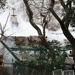 白煙を上げて燃える建物＝１０日午後２時２９分、神戸市灘区六甲山町西谷山