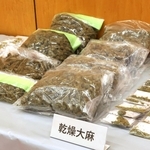 県警が押収した乾燥大麻など＝尼崎南署