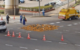 港湾幹線道路でトレーラーが横転し、積み荷のカボチャが高架下に落ちたとみられる現場＝29日午後、神戸市中央区新港町