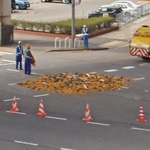 港湾幹線道路でトレーラーが横転し、積み荷のカボチャが高架下に落ちたとみられる現場＝29日午後、神戸市中央区新港町