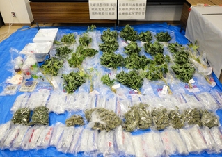 兵庫県警が拠点から押収した大麻草や乾燥大麻の一部＝県警提供
