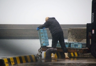死魚を不法投棄しているとみられる人物（神戸海上保安部提供）