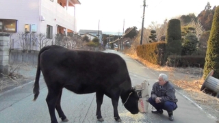 「劇場版ナオト、いまもひとりっきり」の一場面