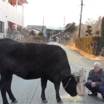 「劇場版ナオト、いまもひとりっきり」の一場面
