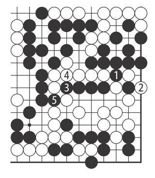 展開図