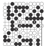 展開図