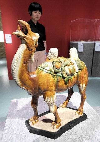 唐時代に作られた「三彩駱駝」。背中に絹と魔除けの面を背負っている＝京都府大山崎町、アサヒグループ大山崎山荘美術館