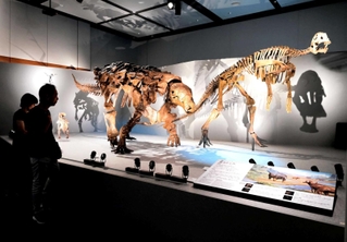 最新のデータに基づいて再現された恐竜の骨格標本＝大阪市中央区難波５