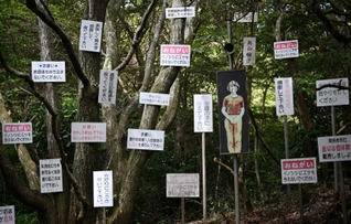 水田雅也の作品「イノシシ村のお願い」＝神戸市灘区六甲山町（撮影・大田将之）