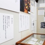 阪神・淡路大震災の記憶を紡ぐ作品が並ぶ＝神戸市灘区王子町３、神戸文学館